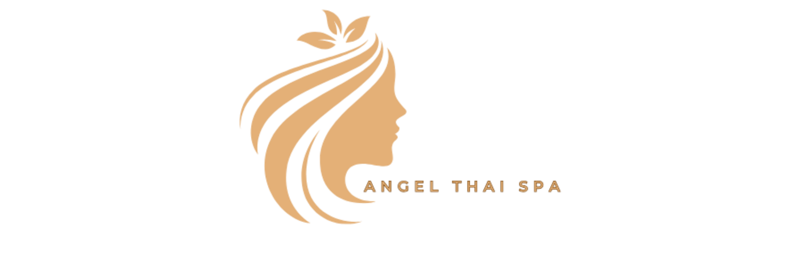 angel spa logo